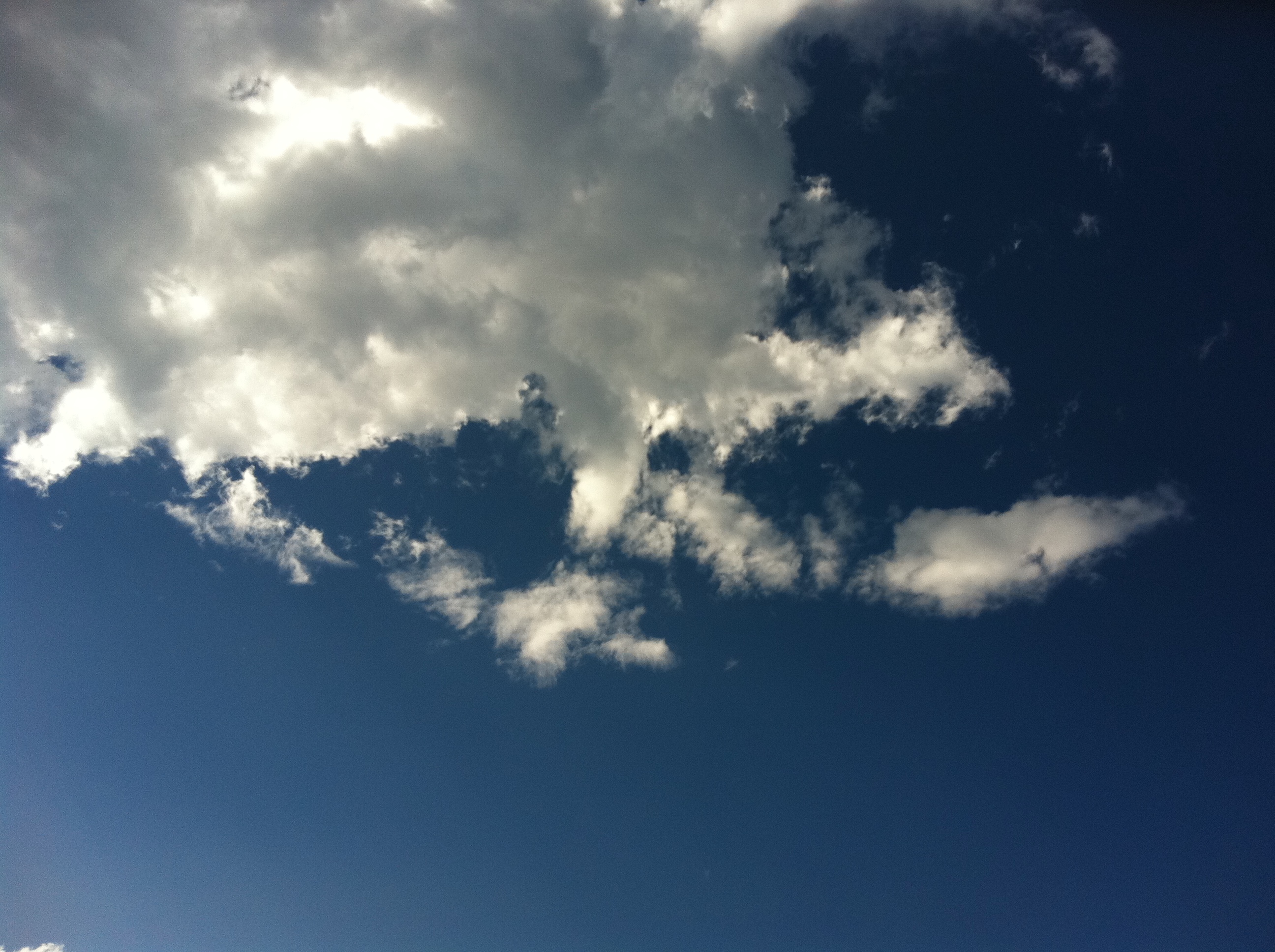 20131022-160332.jpg